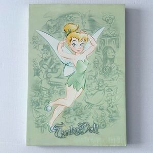 Disney Tinkerbell Fairies Disney Wall Art Canvas w/Peter Pan Characters Sketched